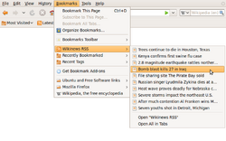 Bookmarks menu in Firefox 3.0.png