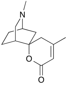 Chemical structure of dioscorine.png