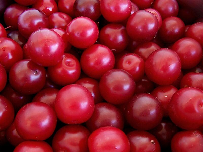 File:Cherry plums.jpg