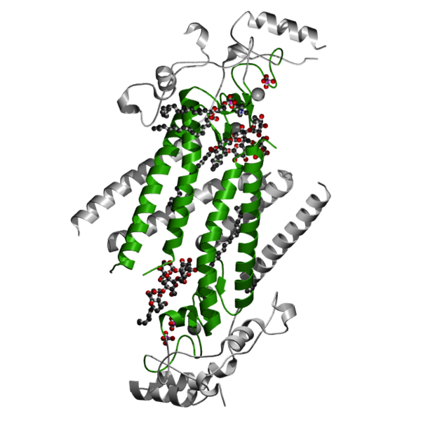File:DHHC 6bms.png