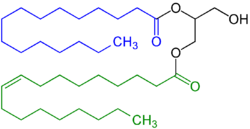 Diglyceride Structural Formula V.1.png