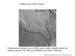 Fretted terrain of Ismenius Lacus taken with MGS.JPG
