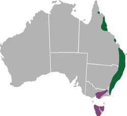 Graphium macleayanus range.png