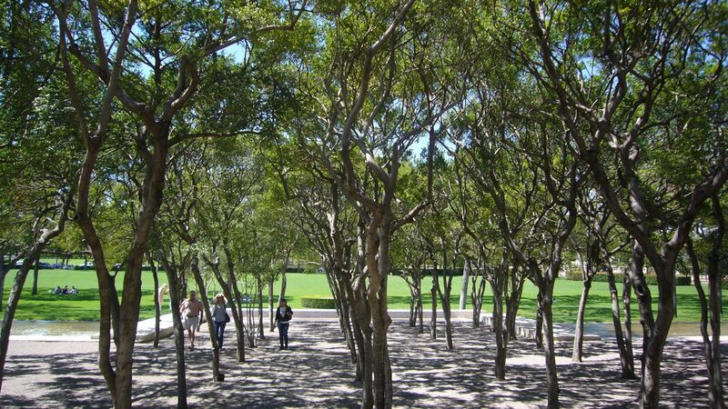 File:Kimbell Art Museum-trees at entry courtyard.jpg