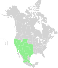 Range map-Senecio flaccidus-North America.svg