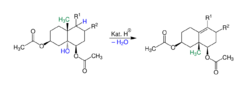 Westphalen Umlagerung Übersichtsreaktion V1.svg