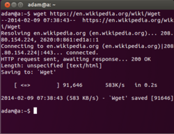 Wget 1.13.4.png