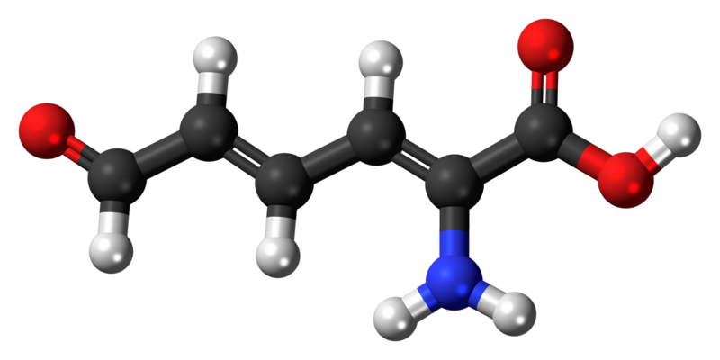 File:2-Aminomuconic-semialdehyde-3D-balls.png