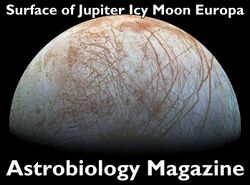 AstrobiologyMagazine-EuropaSurface.jpg