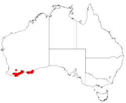 Boronia albifloraDistMap3.png