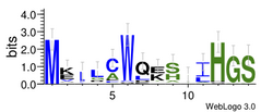 ENOD40-1 peptide seqlogo.png