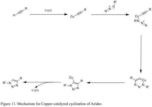Figure 11. Mechanism for Copper-catalyzed cyclization of Azides.jpg