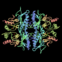 Fructose-1.6-bisphosphatase-pdb-3FBP.png