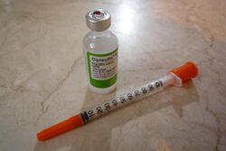 Insulin&Syringe.JPG
