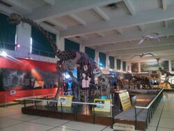 Museo de ciencias naturales - panoramio (4).jpg
