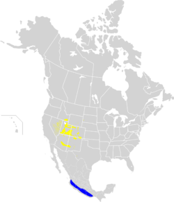 Oreothlypis virginiae map.svg