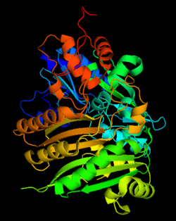 Tetrahydrocannabinolic acid (THCA) synthase protein structure.png