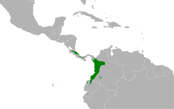 Turdus obsoletus map.svg