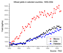 Wheat yields in selected countries, 1951-2004.png