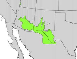 Yucca elata range map.jpg