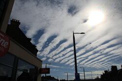 Altocumulus stratiformis undulatus translucidus perlucidus über Edinburgh.jpg