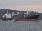 Bulk carrier arriving in port.jpg