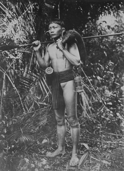 File:COLLECTIE TROPENMUSEUM Portret van een Dajak jager op Borneo met een gevangen zwijn over de schouder TMnr 60043389.jpg