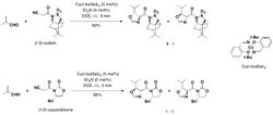 Camphorsultam 1.jpg