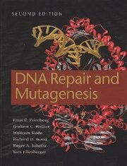 DNA repair and mutagenesis Second edition.jpg