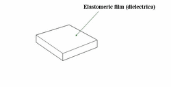 Dielectric elastomers.gif