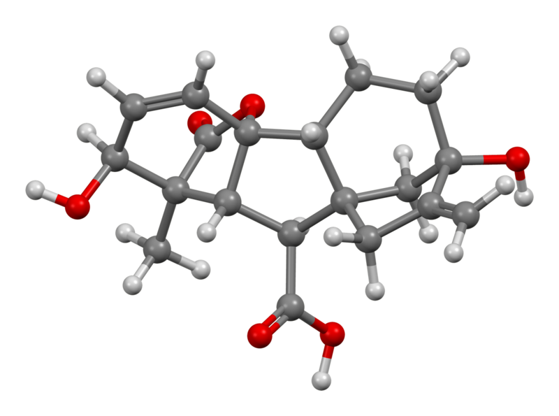 File:Gibberellic-acid-from-xtal-3D-bs-17.png