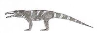 Gualosuchus.jpg