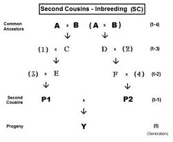 Inbreeding- Cousins Second.jpg