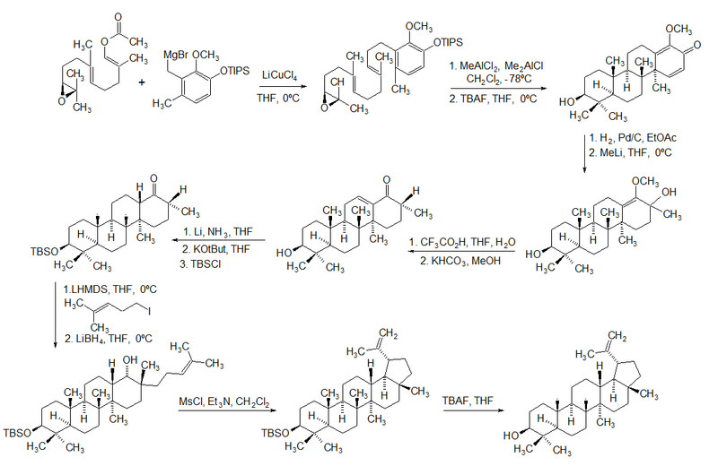File:LUPEOL SYNTHESIS.png