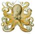 Octopusvulgaris.jpg