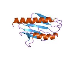 PDB 1ekg EBI.jpg