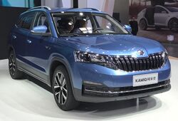 Skoda Kamiq 001.jpg