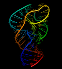 Twister Ribozyme Structure.png