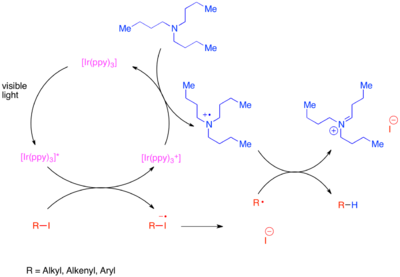 Mechanistic diagram of the reductive dehalogenation of unactivated carbon-iodine bonds