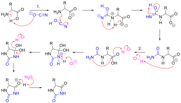 Urech Hydantoin synthesis