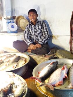 Vendor in Fish Market - Sylhet - Bangladesh (12968716714).jpg