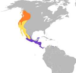 Chaetura vauxi map.svg