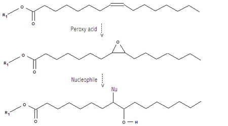 Epoxidation and ring opening of unsaturated triglyceride