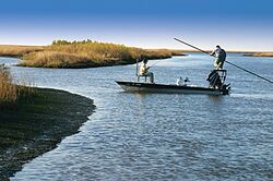 Fly Fishing in Southeast Louisiana.jpg