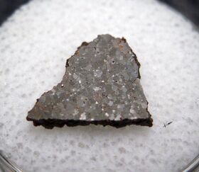 NWA 3151 meteorite, brachinite.jpg