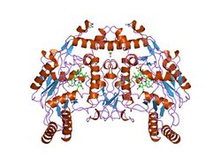 PDB 1nse EBI.jpg