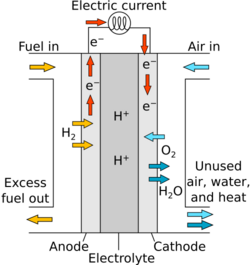 Proton Exchange Fuel Cell Diagram.svg