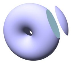Toric lens surface 2.png