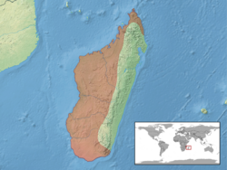 Trachylepis elegans distribution.png