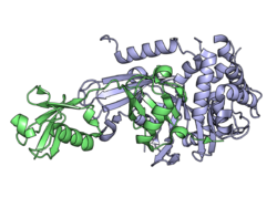 Ubiquitin and USP21.png